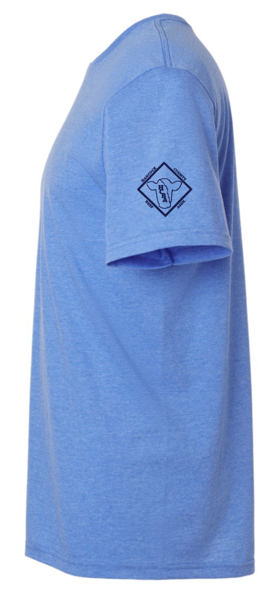 HCBA | Heather Royal Softstyle Tee