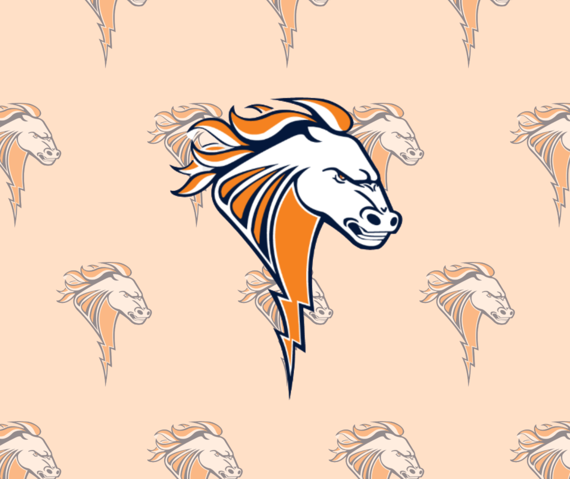 Illini West HS Volleyball