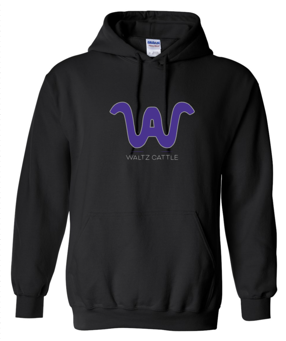 Waltz Black Hooded Sweatshirt | Unisex & Youth