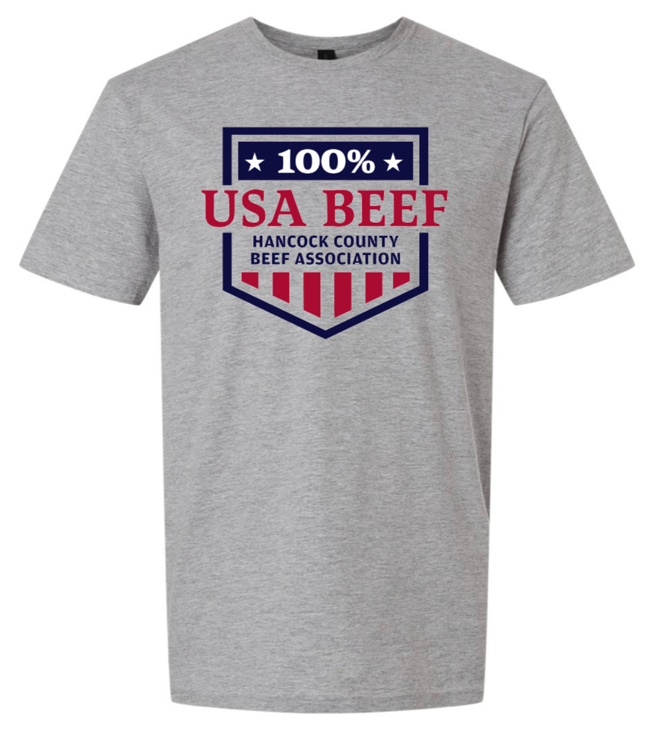 HCBA | Grey Softstyle Tee
