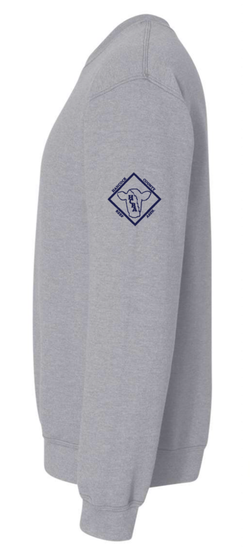 HCBA | Grey Hooded Sweatshirt