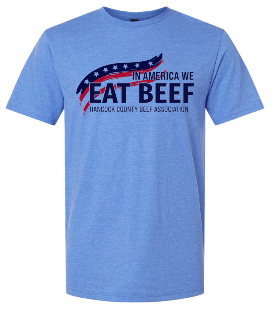 HCBA | Heather Royal Softstyle Tee